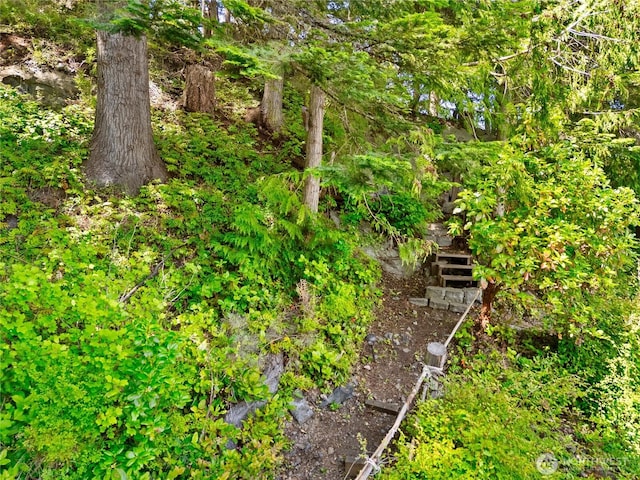 495 Colville Ln, Conner, WA 98257 - view of yard