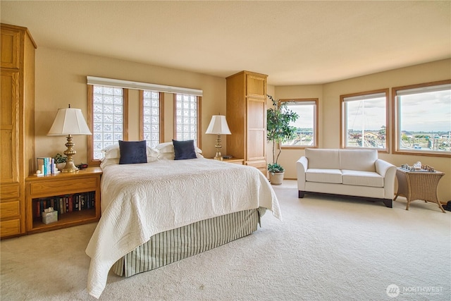 4020 Mayne Ln, Ferndale, WA 98248 - bedroom featuring light colored carpet and multiple windows