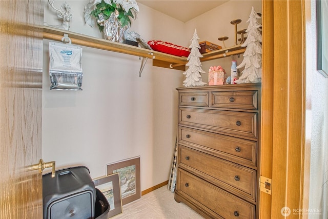 4020 Mayne Ln, Ferndale, WA 98248 - view of spacious closet