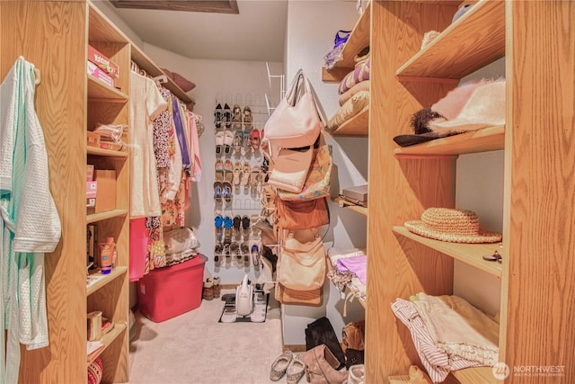 4020 Mayne Ln, Ferndale, WA 98248 - spacious closet with carpet