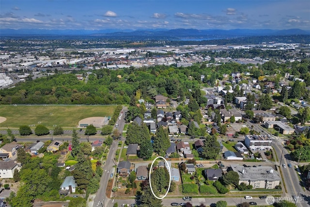7508 13th Ave SW, Seattle, WA 98106 - aerial view of property and surrounding area with a mountain backdrop and nearby suburban area