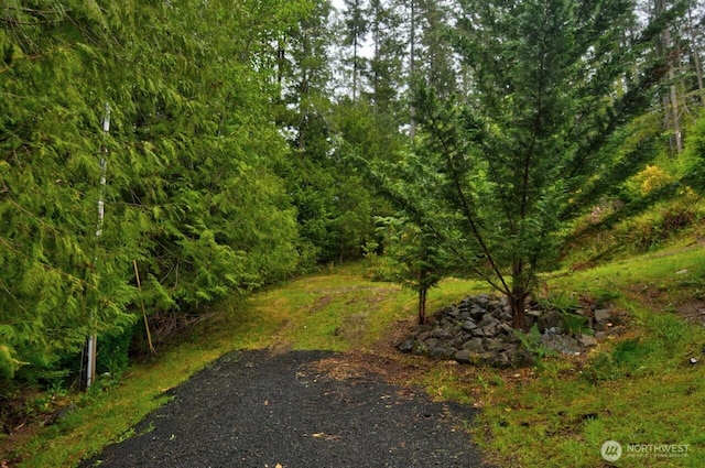 420 E Dartmoor Dr, Shelton, WA 98584 - photo 32