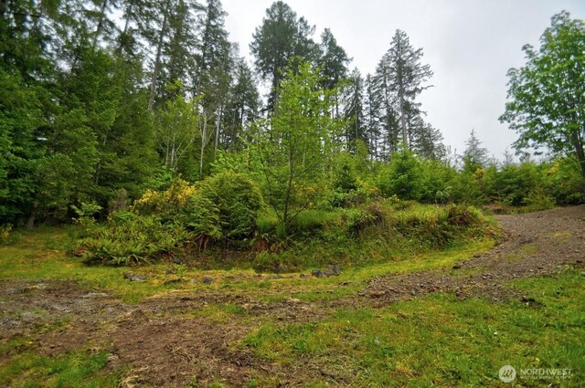 420 E Dartmoor Dr, Shelton, WA 98584 - photo 33