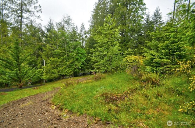 420 E Dartmoor Dr, Shelton, WA 98584 - photo 34
