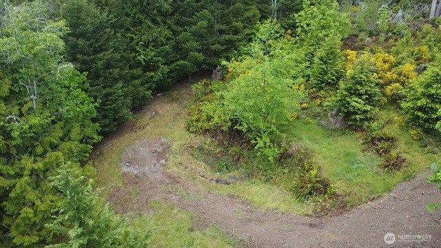 420 E Dartmoor Dr, Shelton, WA 98584 - photo 38