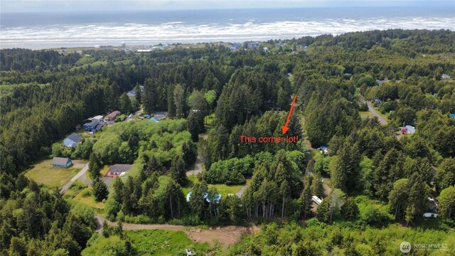 0 Robin Ln, Untitled Pacific Beach, WA 98571