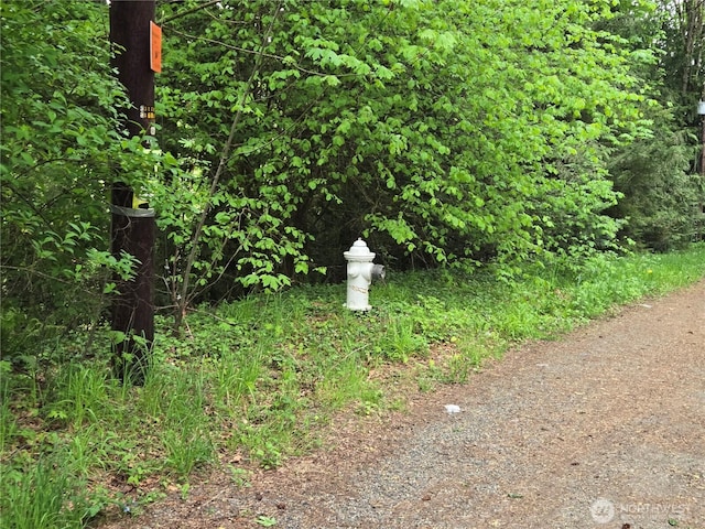 160XX 193rd Ave SE, Renton, WA 98058 - photo 4