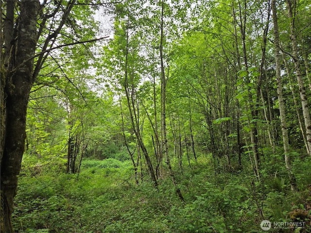 160XX 193rd Ave SE, Renton, WA 98058 - photo 6