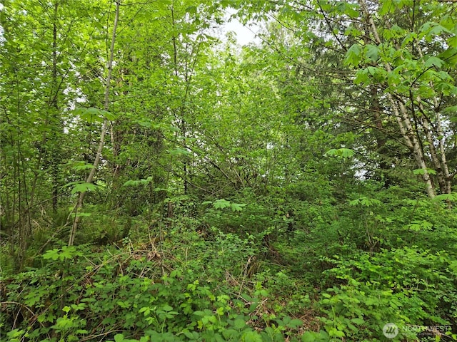 160XX 193rd Ave SE, Renton, WA 98058 - photo 8