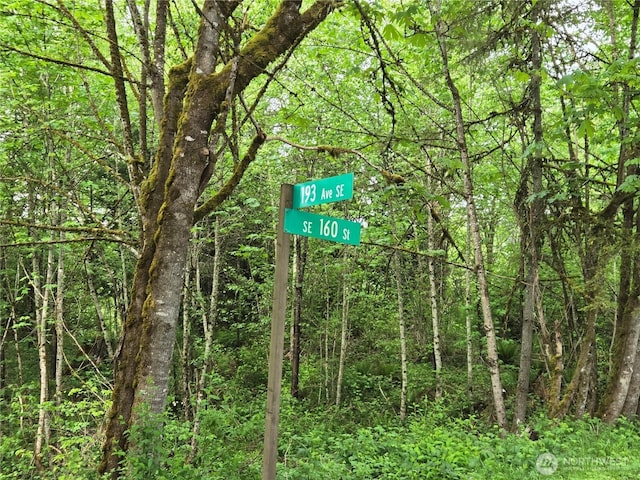 160XX 193rd Ave SE, Renton, WA 98058 - photo 3