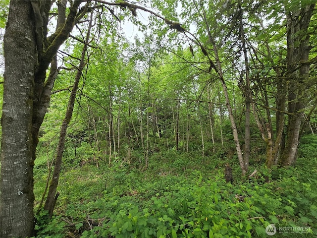 160XX 193rd Ave SE, Renton, WA 98058 - photo 10