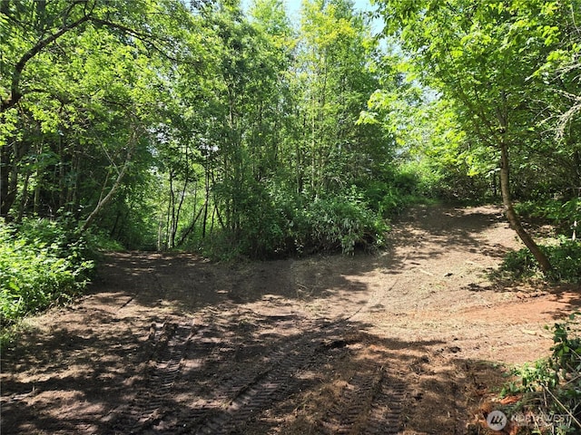 160XX 193rd Ave SE, Renton, WA 98058 - photo 12