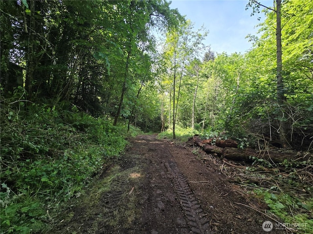 160XX 193rd Ave SE, Renton, WA 98058 - photo 13
