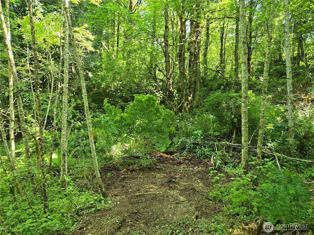 160XX 193rd Ave SE, Renton, WA 98058 - photo 16