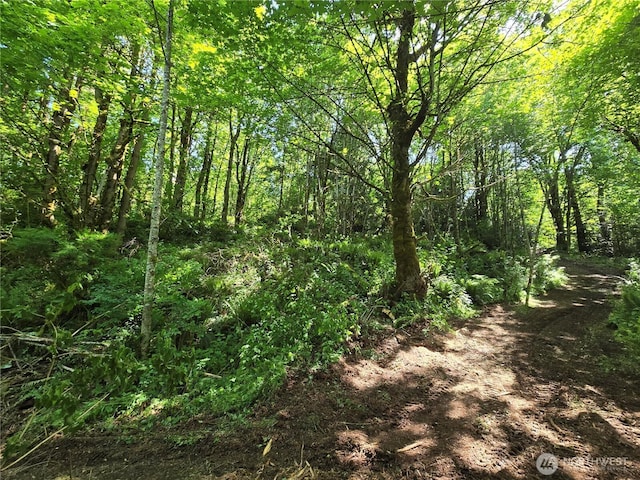 160XX 193rd Ave SE, Renton, WA 98058 - photo 18