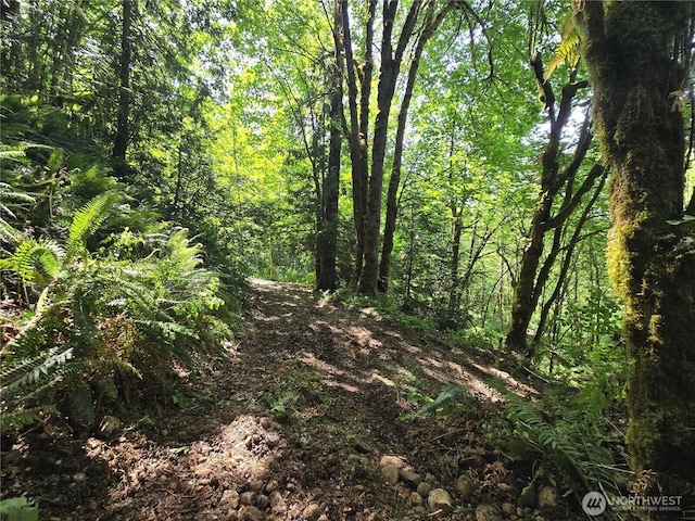 160XX 193rd Ave SE, Renton, WA 98058 - photo 23