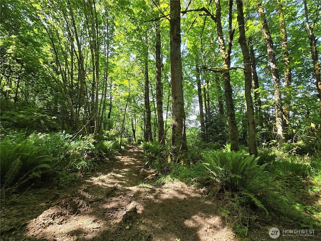 160XX 193rd Ave SE, Renton, WA 98058 - photo 25