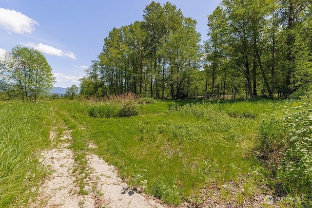 301 Hillis Rd, Arlington, WA 98223