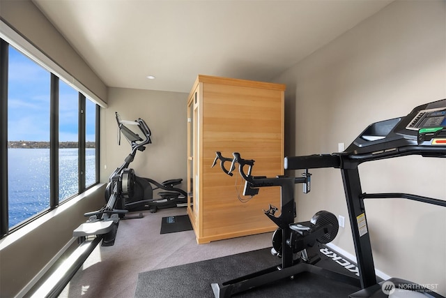 7703 W Mercer Way, Mercer Island, WA 98040 - exercise room featuring a water view, baseboards, and carpet floors