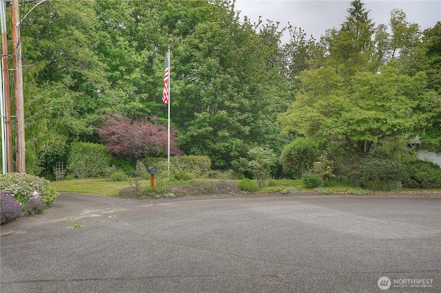 0 Agnes Rd NE, Tacoma, WA 98422 - photo 6