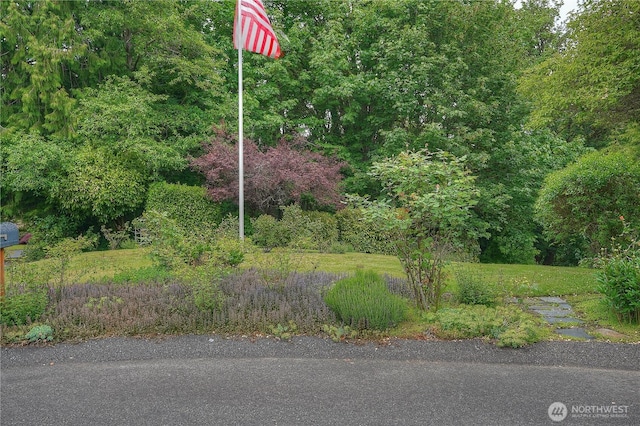0 Agnes Rd NE, Tacoma, WA 98422 - photo 1