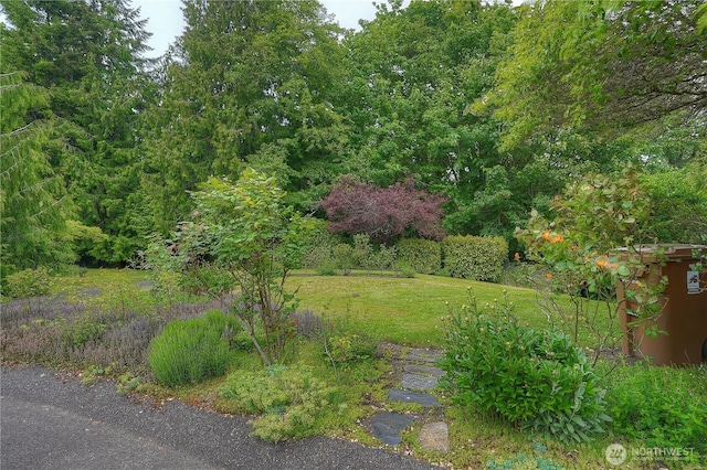 0 Agnes Rd NE, Tacoma, WA 98422 - photo 9
