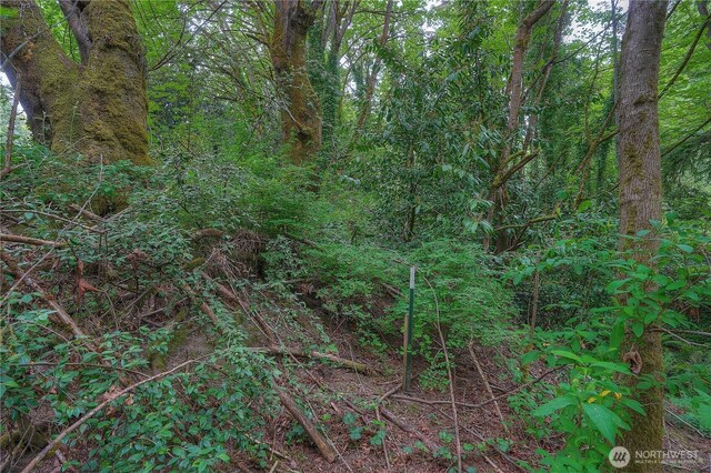 0 Agnes Rd NE, Tacoma, WA 98422 - photo 10