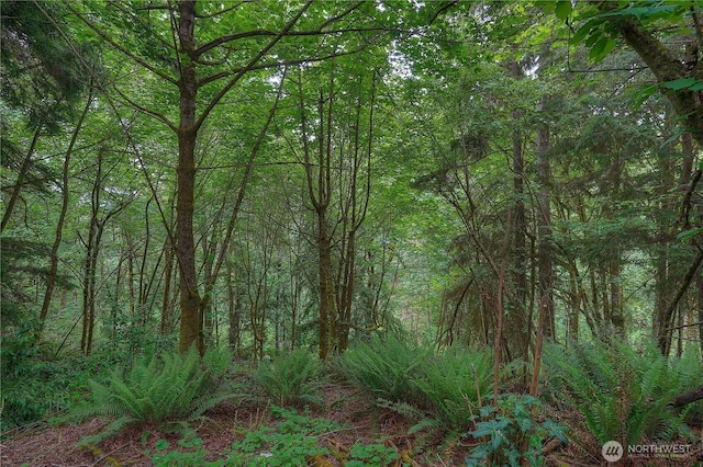 0 Agnes Rd NE, Tacoma, WA 98422 - photo 12