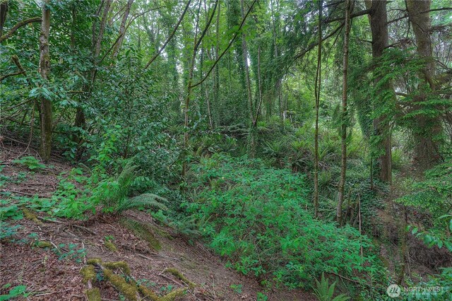 0 Agnes Rd NE, Tacoma, WA 98422 - photo 14
