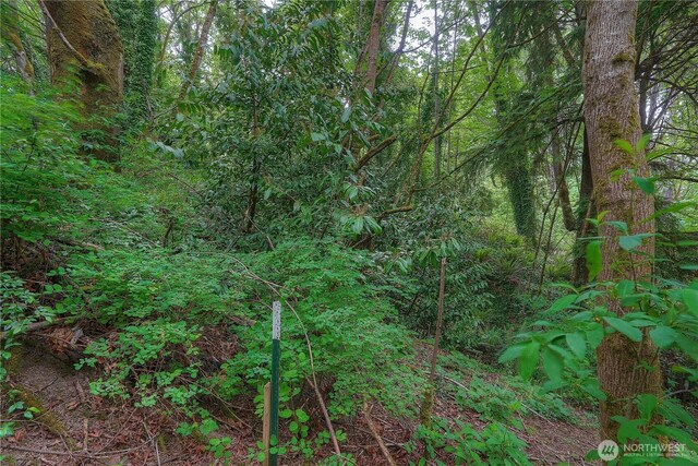 0 Agnes Rd NE, Tacoma, WA 98422 - photo 15