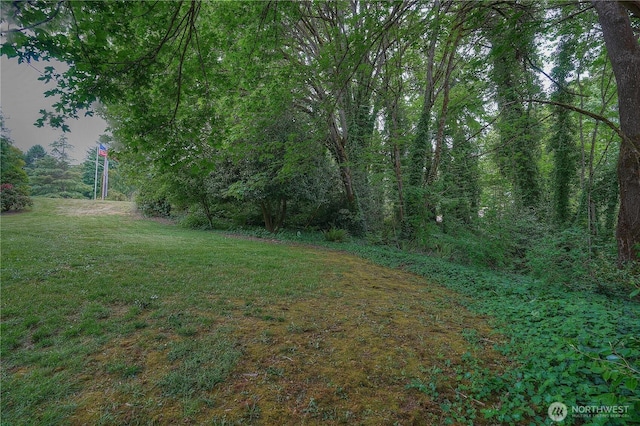 0 Agnes Rd NE, Tacoma, WA 98422 - photo 17