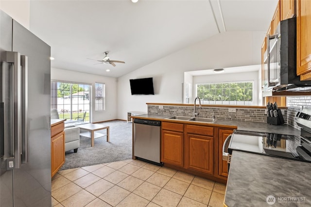 9488 SE Benjamin Way, Moses Lake, WA 98837 - kitchen featuring appliances with stainless steel finishes, a sink, lofted ceiling, light carpet, and a peninsula
