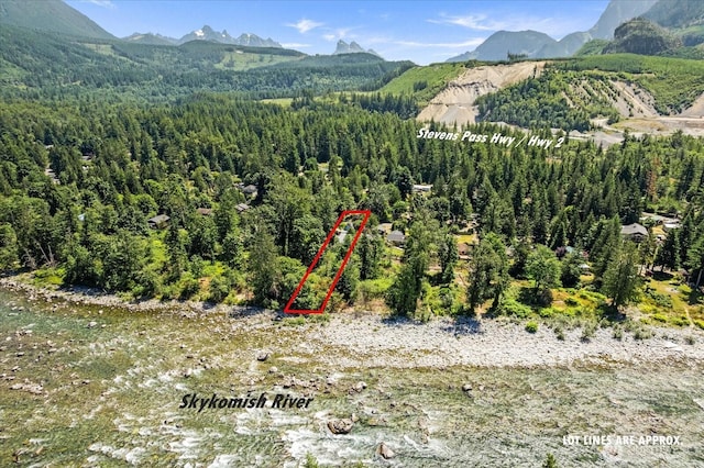 44119 Fir Rd, Gold Bar, WA 98251 - mountain view featuring a forest