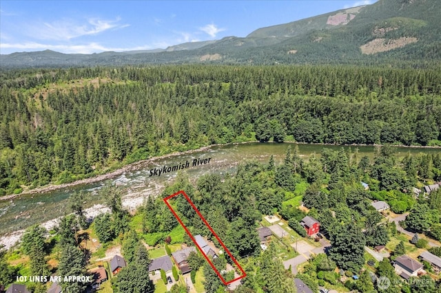 44119 Fir Rd, Gold Bar, WA 98251 - view of property location with a forest and property boundaries highlighted