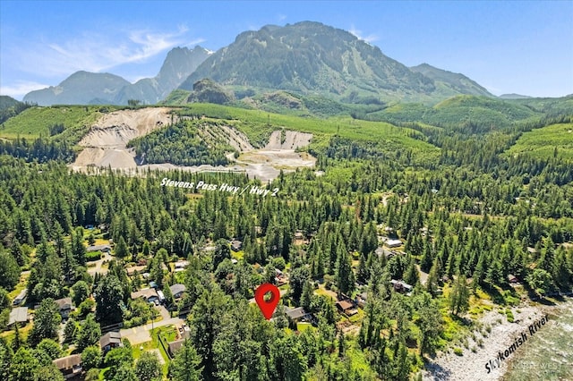 44119 Fir Rd, Gold Bar, WA 98251 - mountain view with a forest