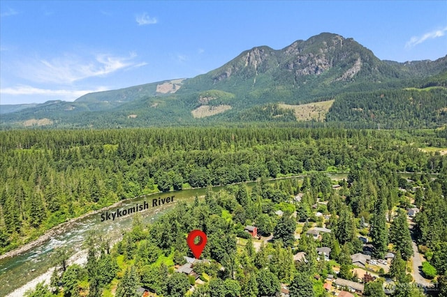 44119 Fir Rd, Gold Bar, WA 98251 - view of mountain backdrop featuring a heavily wooded area