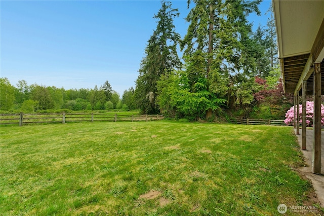 10410 260th St E, Graham, WA 98338 - view of yard