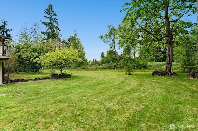 10410 260th St E, Graham, WA 98338 - view of grassy yard