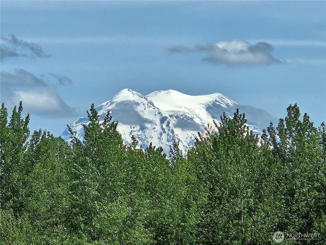 10410 260th St E, Graham, WA 98338 - view of mountain background