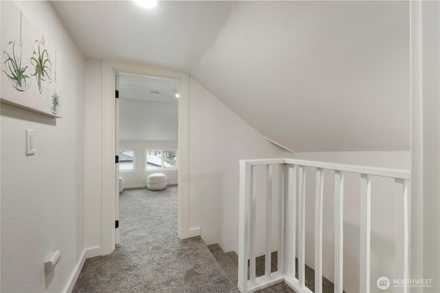 1006 S Cedar, Tacoma, WA 98405 - corridor featuring carpet floors, vaulted ceiling, and baseboards