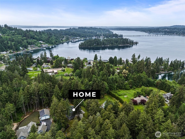 464 7th Ave, Fox Island, WA 98333 - view of property location featuring a large body of water and a forest