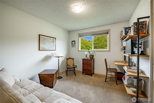 8039 Niska Rd, Blaine, WA 98230 - bedroom with carpet flooring and a textured ceiling