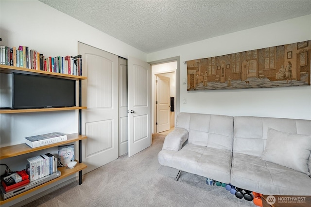 8039 Niska Rd, Blaine, WA 98230 - sitting room featuring carpet floors and a textured ceiling