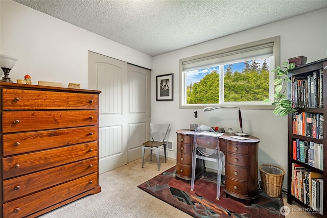 8039 Niska Rd, Blaine, WA 98230 - home office with light colored carpet and a textured ceiling