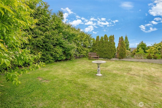 8039 Niska Rd, Blaine, WA 98230 - view of grassy yard