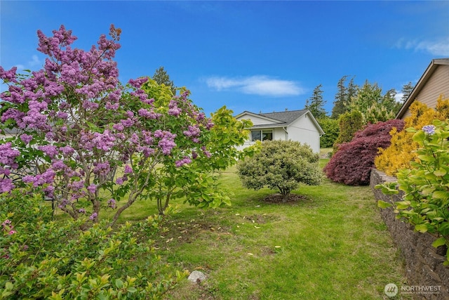 8039 Niska Rd, Blaine, WA 98230 - view of green lawn