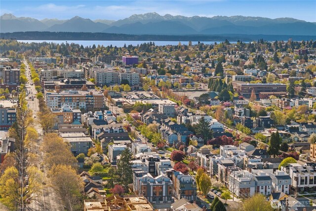 5517A 9th Ave NW, Seattle, WA 98107 - aerial view of property's location with a water and mountain view