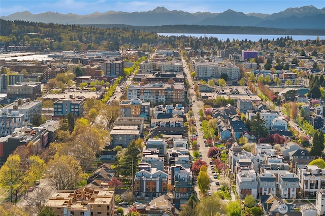 5517A 9th Ave NW, Seattle, WA 98107 - aerial view of property and surrounding area with a mountain backdrop