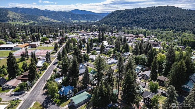 256 Benton St, Leavenworth, WA 98826