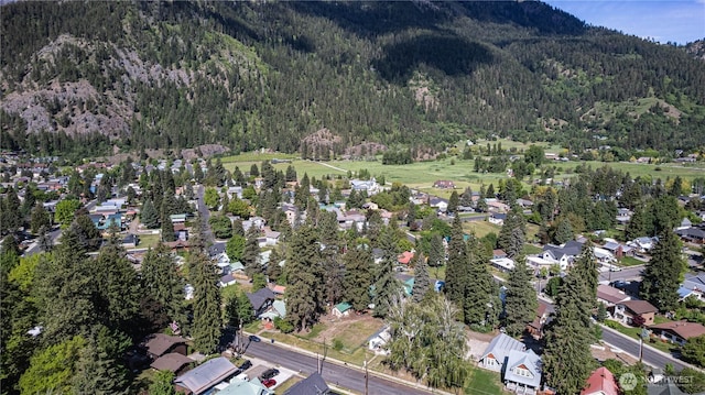 256 Benton St, Leavenworth, WA 98826